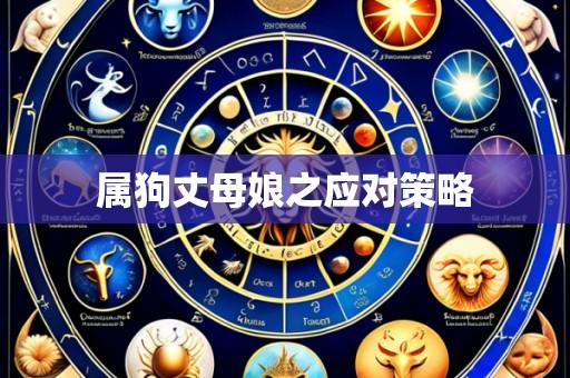属狗丈母娘之应对策略