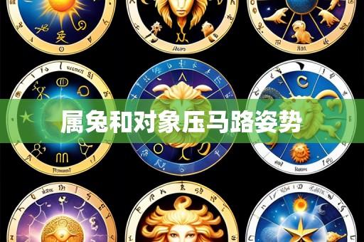 属兔和对象压马路姿势