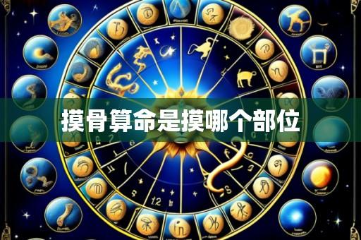 摸骨算命是摸哪个部位