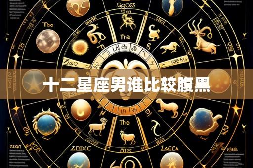十二星座男谁比较腹黑