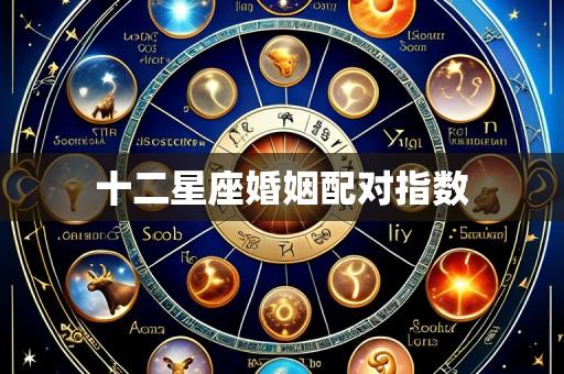 十二星座婚姻配对指数