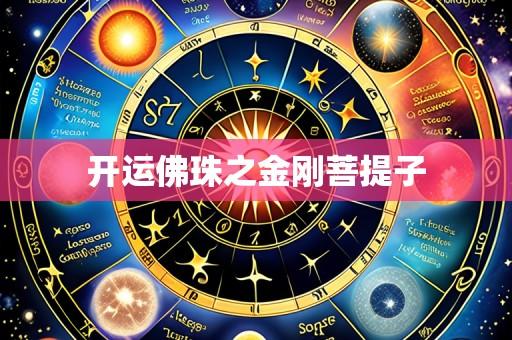 开运佛珠之金刚菩提子
