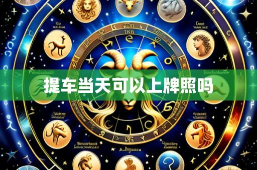提车当天可以上牌照吗