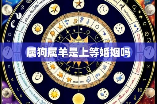 属狗属羊是上等婚姻吗