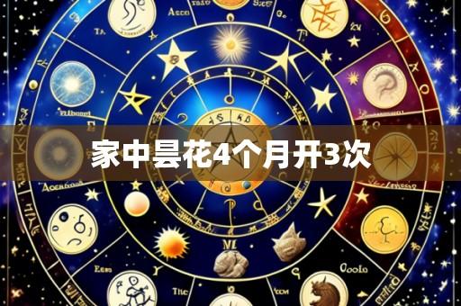 家中昙花4个月开3次