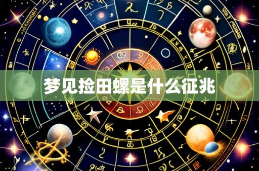 梦见捡田螺是什么征兆