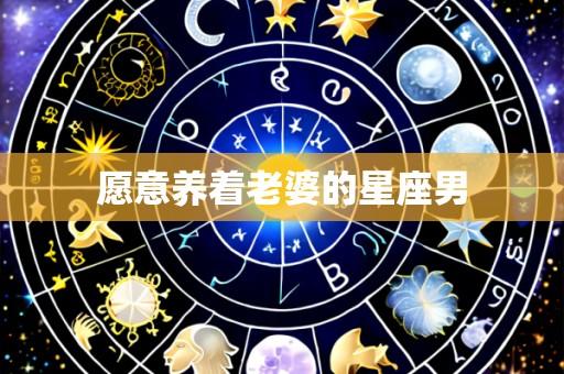 愿意养着老婆的星座男