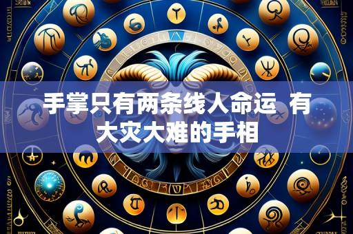 手掌只有两条线人命运 有大灾大难的手相