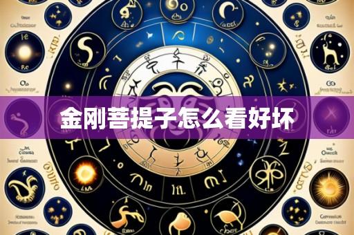 金刚菩提子怎么看好坏