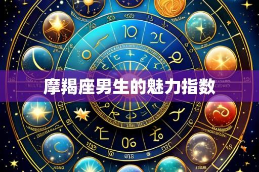 摩羯座男生的魅力指数