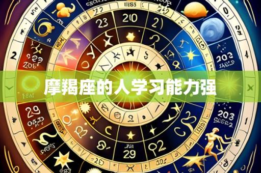 摩羯座的人学习能力强