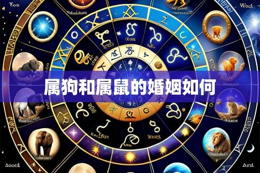 属狗和属鼠的婚姻如何