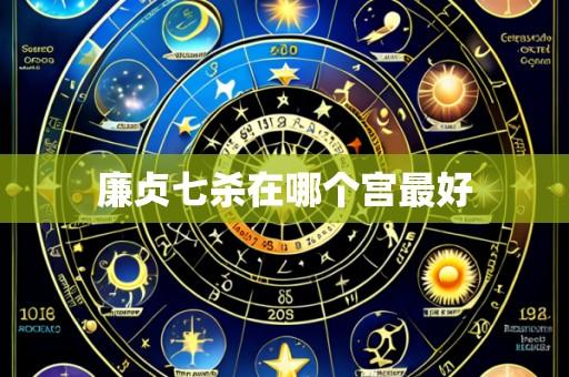 廉贞七杀在哪个宫最好