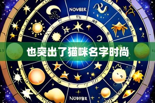 也突出了猫咪名字时尚