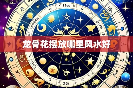 龙骨花摆放哪里风水好