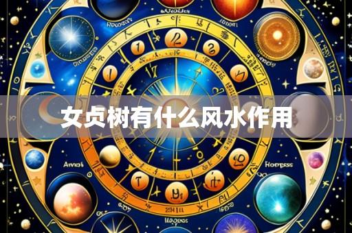 女贞树有什么风水作用