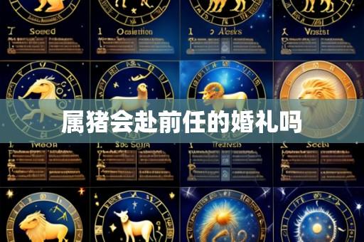 属猪会赴前任的婚礼吗