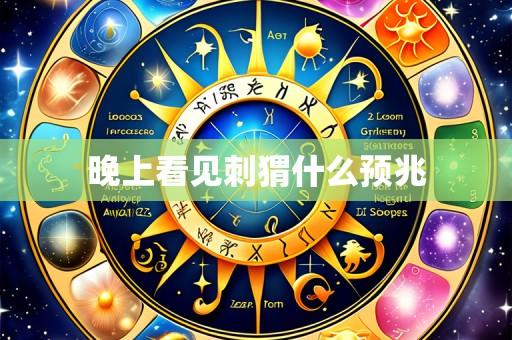 晚上看见刺猬什么预兆