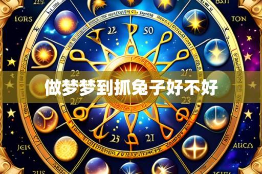 做梦梦到抓兔子好不好