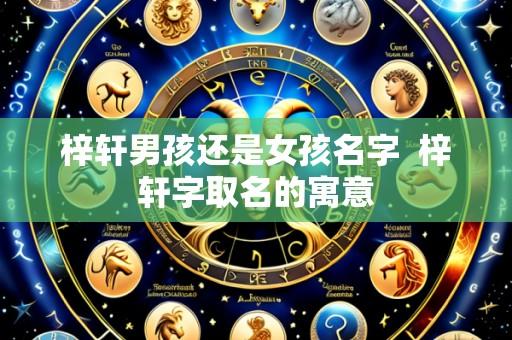 梓轩男孩还是女孩名字 梓轩字取名的寓意