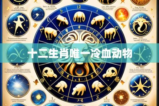 十二生肖唯一冷血动物