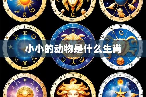 小小的动物是什么生肖