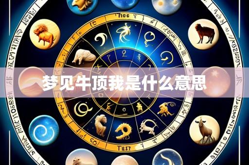 梦见牛顶我是什么意思