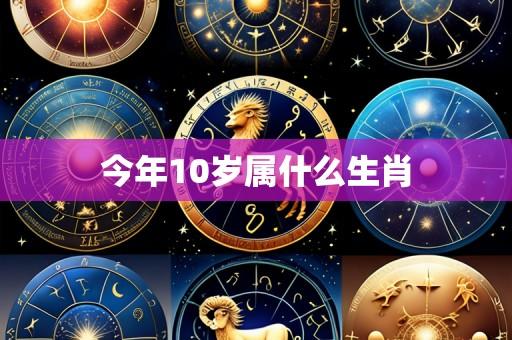 今年10岁属什么生肖