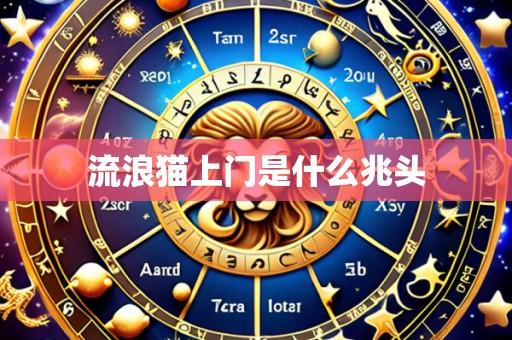流浪猫上门是什么兆头