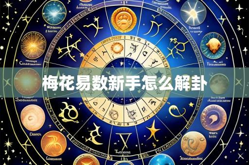 梅花易数新手怎么解卦