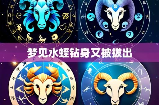 梦见水蛭钻身又被拔出