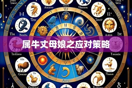 属牛丈母娘之应对策略