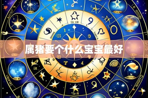 属猪要个什么宝宝最好