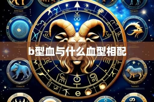 b型血与什么血型相配