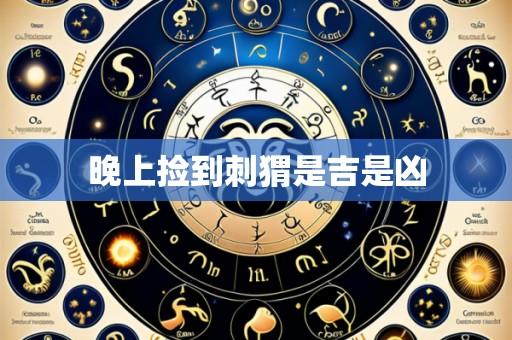 晚上捡到刺猬是吉是凶