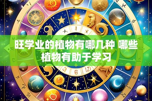 旺学业的植物有哪几种 哪些植物有助于学习