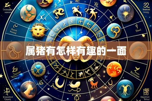 属猪有怎样有趣的一面