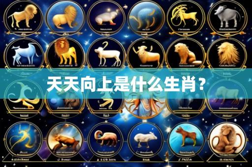 天天向上是什么生肖？