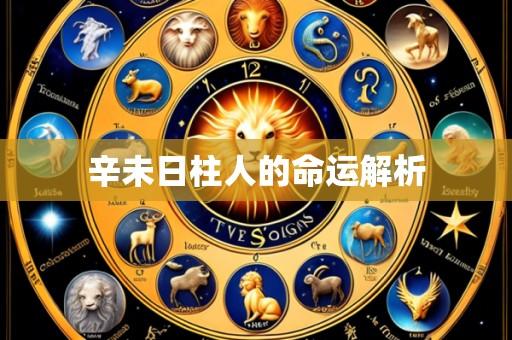 辛未日柱人的命运解析