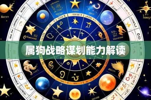 属狗战略谋划能力解读