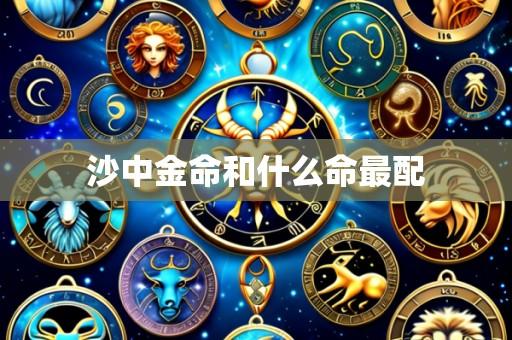 沙中金命和什么命最配