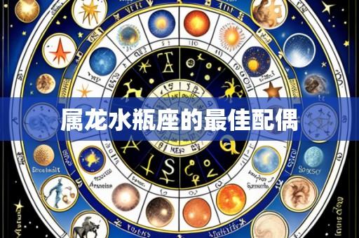 属龙水瓶座的最佳配偶