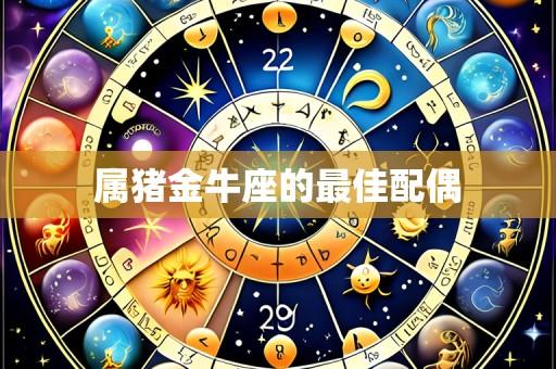 属猪金牛座的最佳配偶