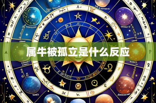 属牛被孤立是什么反应