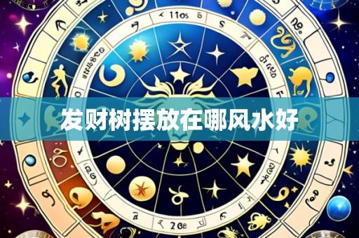 发财树摆放在哪风水好