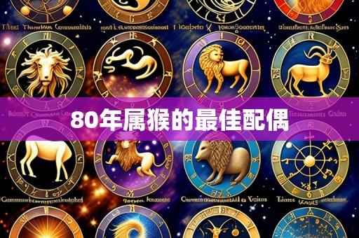 80年属猴的最佳配偶