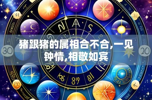 猪跟猪的属相合不合,一见钟情,相敬如宾