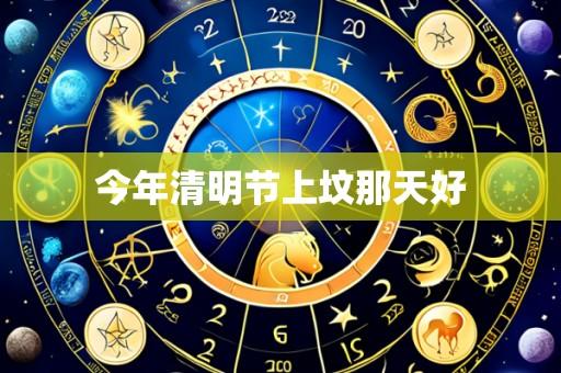 今年清明节上坟那天好