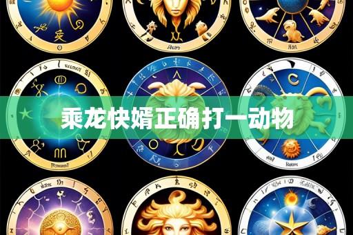 乘龙快婿正确打一动物