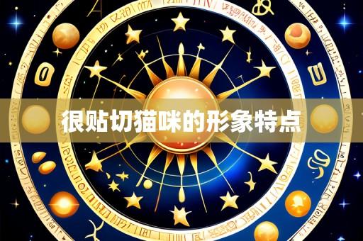 很贴切猫咪的形象特点